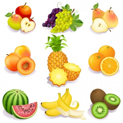 Vector fruit Free vector for free download about (1,110) Free ...