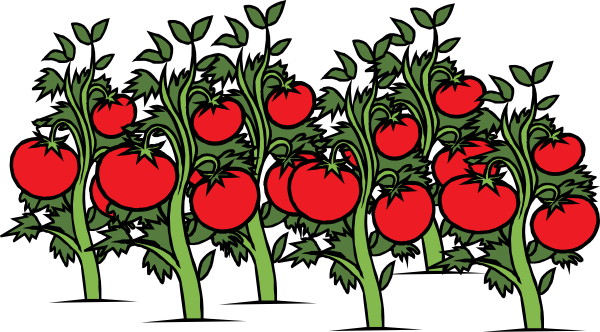 Tomato Plant Clip Art