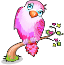 Pink Lovebird - Tiny Zoo Wiki