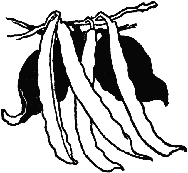 Clip Art Black White And Green Beans Clipart