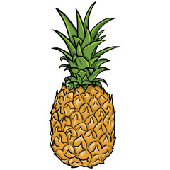 Search photos "cartoon pineapple"