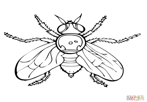 Firefly Serenity Coloring Pages, firefly tv show coloring pages ...
