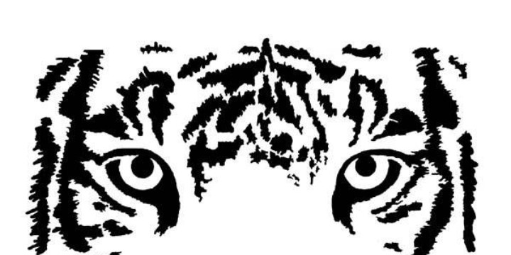 clip art eye of the tiger - photo #17