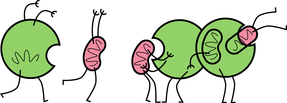 Macrophage Cartoon - ClipArt Best