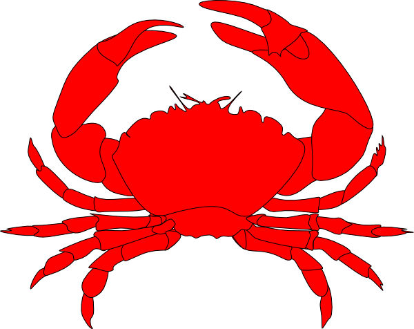 Hermit Crab Clip Art Vector Online Royalty Free And Public