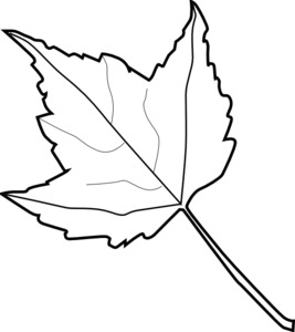 Maple Leaf Stencil Printable - ClipArt Best