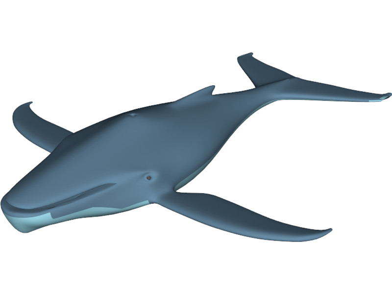 Whale Funny 3D Model Download - 3D CAD Browser