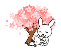 Cherry Blossom Watercolor Vector - Download 244 Vectors (Page 1)