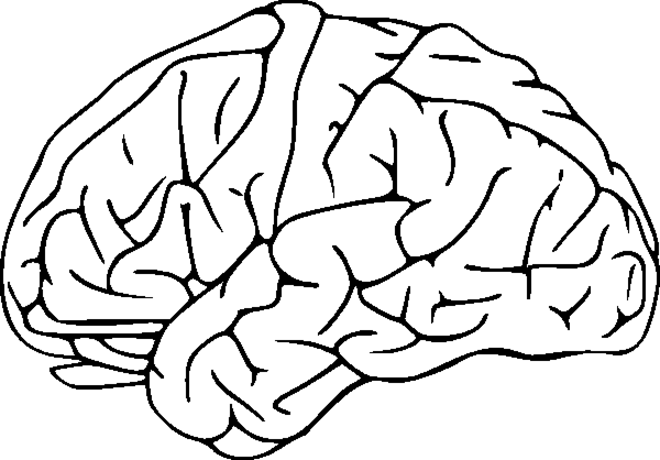 Brain Clipart | Coloring Pages To Print