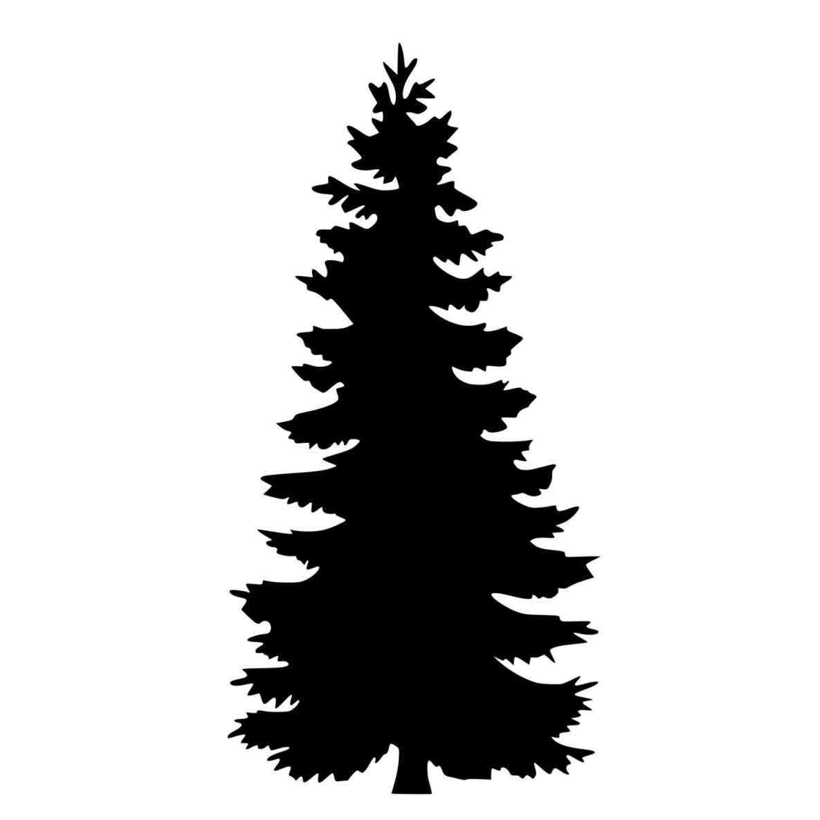 evergreen tree silhouette › ngorong.club