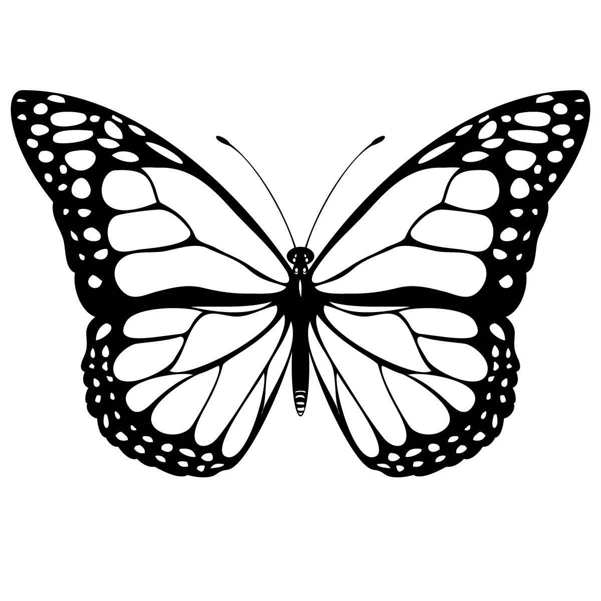 Butterfly Drawing Outline