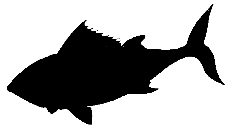 fish silhouette clip art free - photo #15