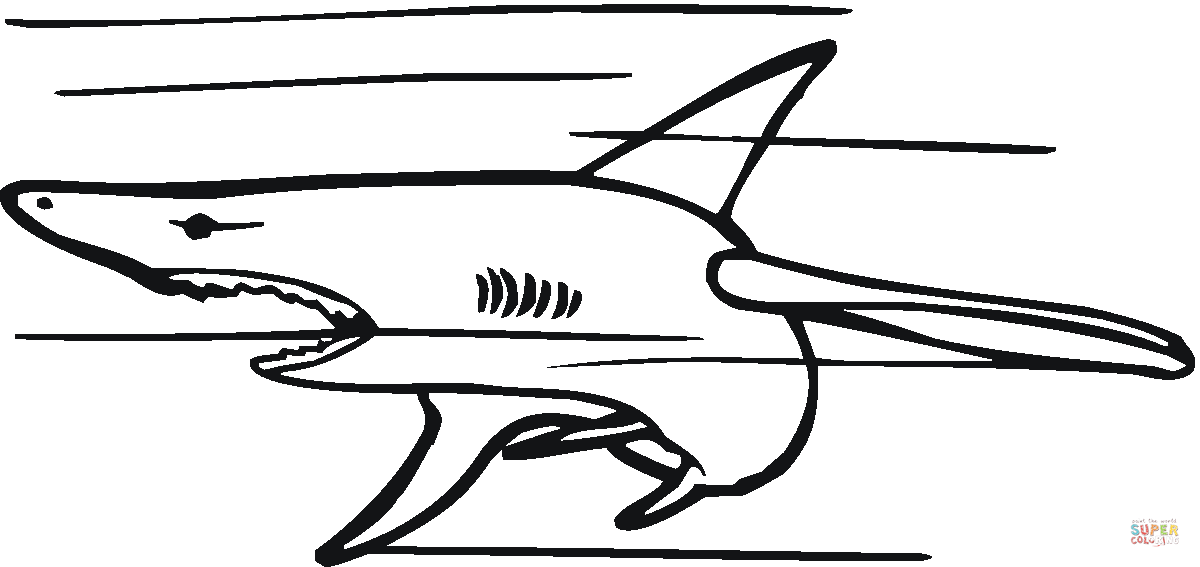 Great White Shark coloring page | Free Printable Coloring Pages