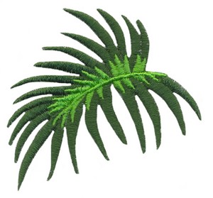Palm Leaf Outline 79321 | DFILES