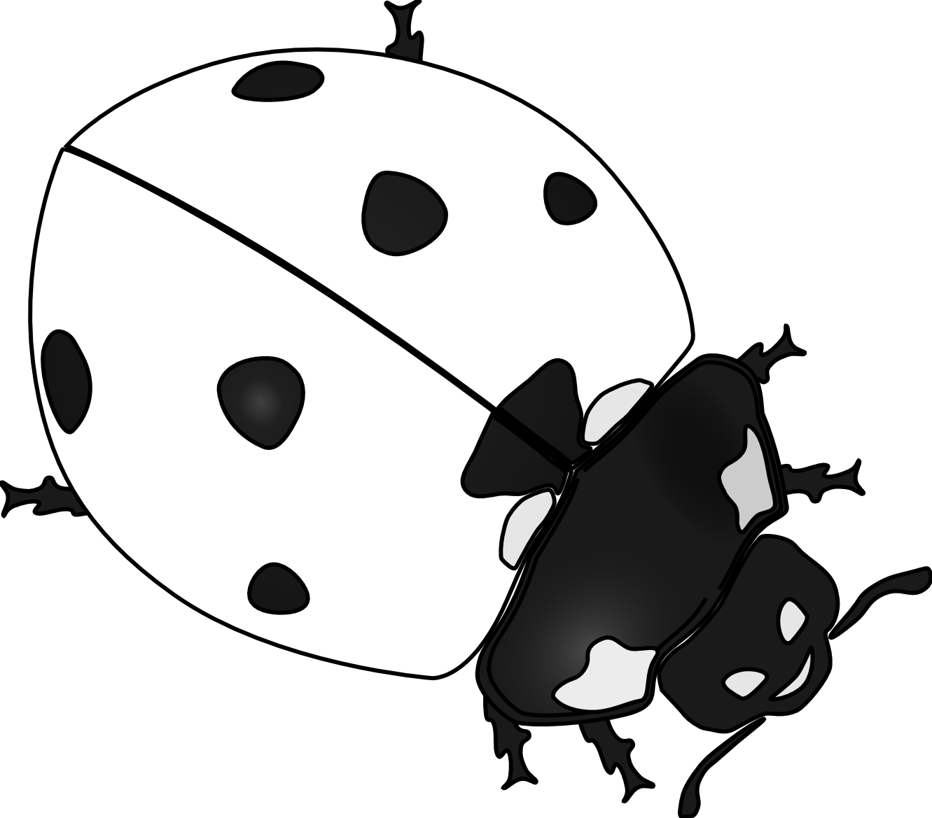 clipart ladybug black and white - photo #14