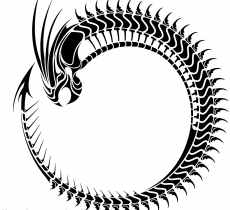 Tribal Dragon Circle Image Design Free Image Tattoo Designs ...