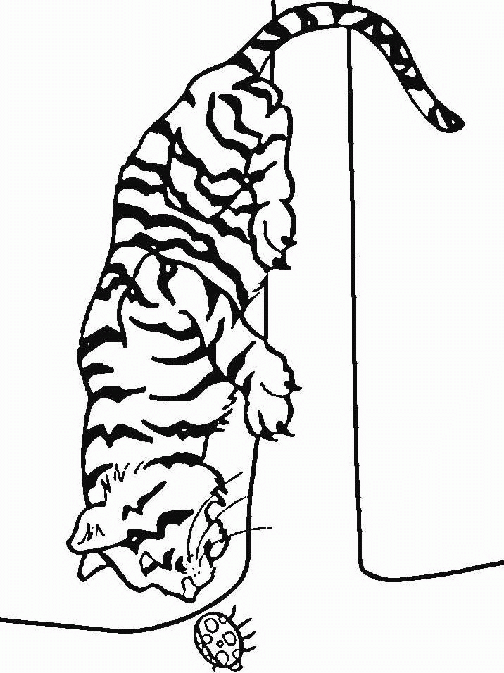 â?· Coloring Pages Tigers: Animated Images, Gifs, Pictures ...