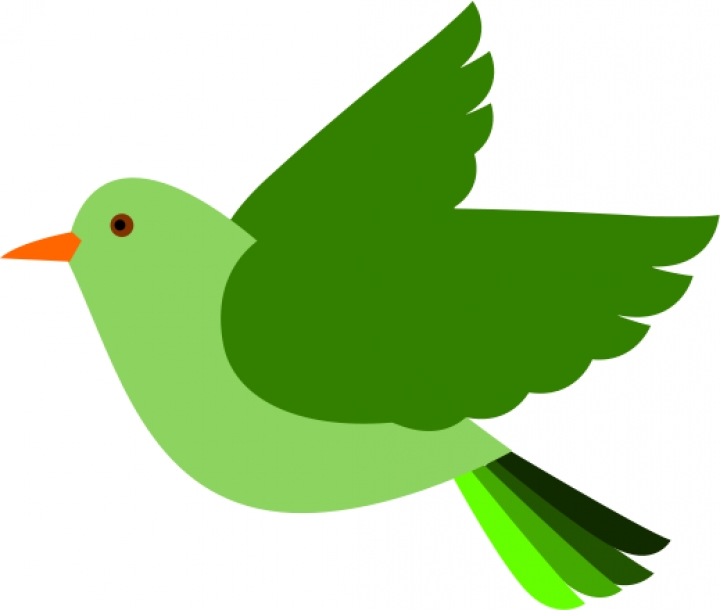 Gallery For Bird Clip Art Png