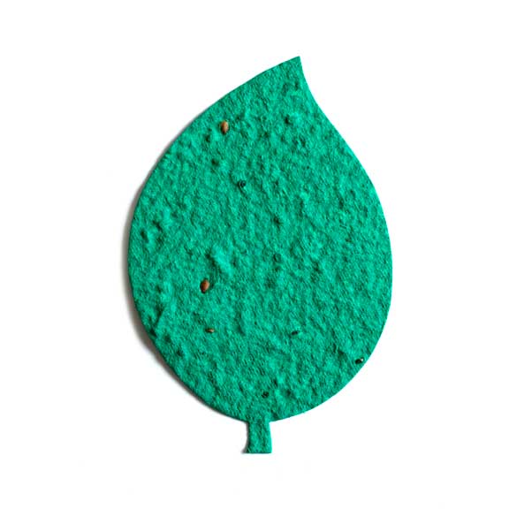 Seed Paper Leaf Shapes | Custom Die-Cut Seed Paper Leaves