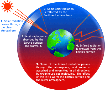 Ozone Layer Diagram - ClipArt Best