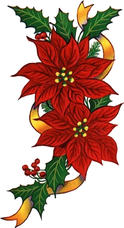 Christmas flowers Graphics and Animated Gifs. Christmas flowers