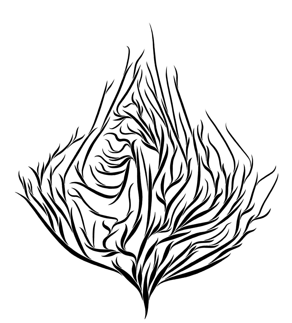 Line Art Leaves : Line drawings of leaves clipart best