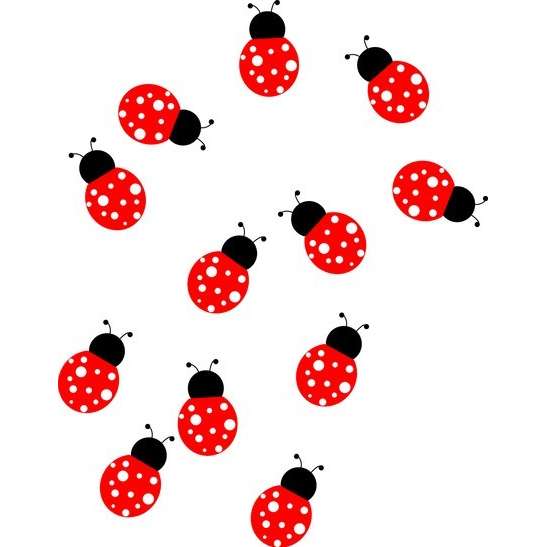 Sweeetnothing :: A Dozen Cute Ladybug Vinyl Wall Sticker | ThisNext