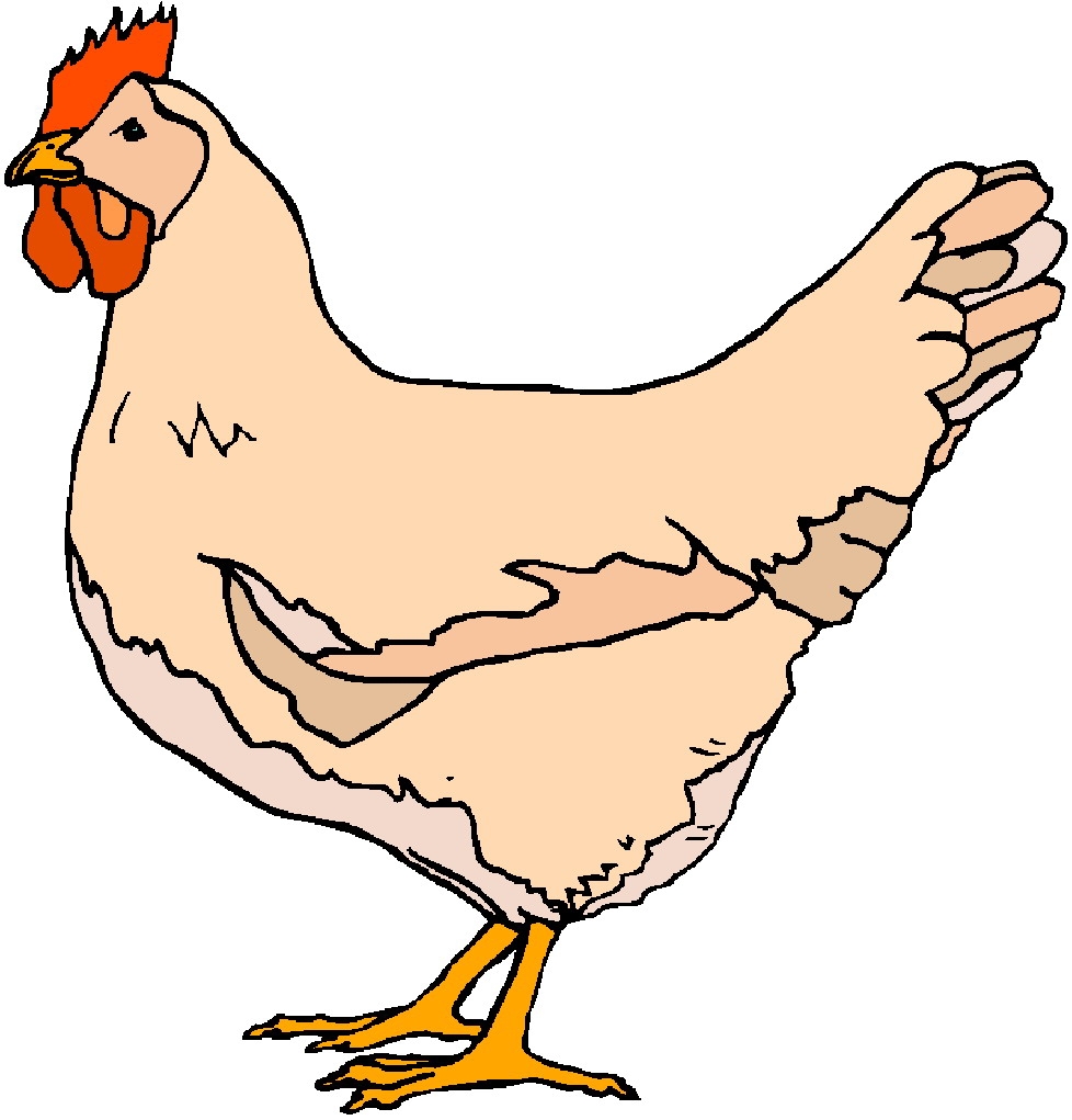 Hen Chicken Clipart