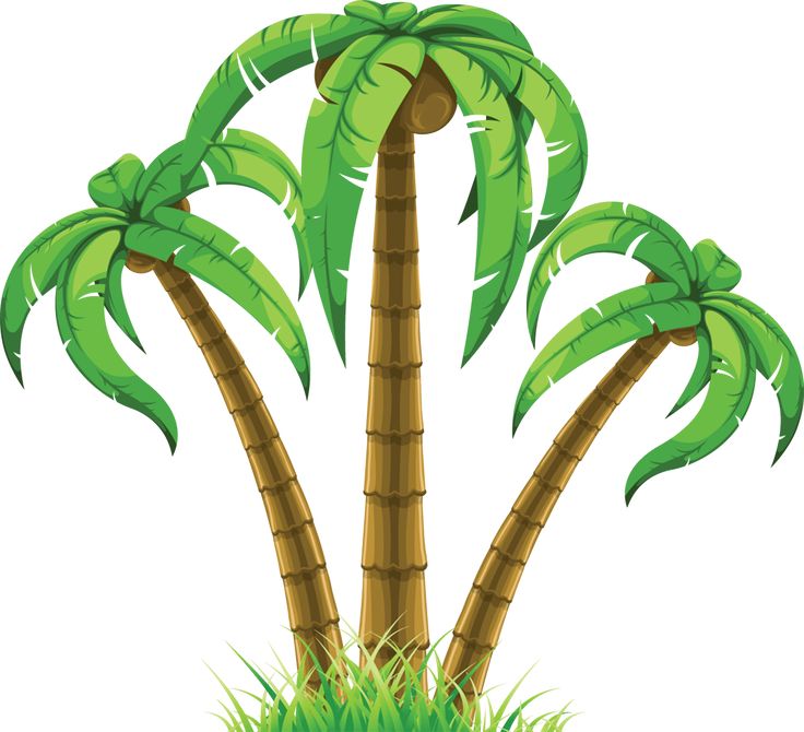 Palm Tree Clip Art | Clip Art, Tree ...