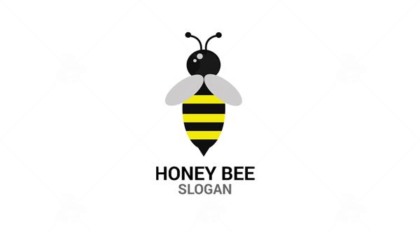 Honey Bee Logo - Logos & Graphics