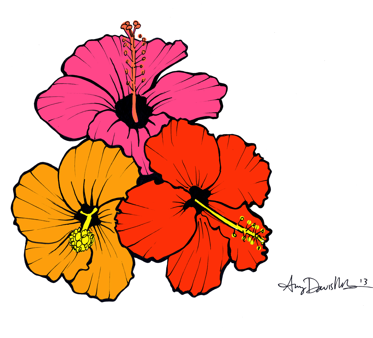 Hibiscus Flower Drawing