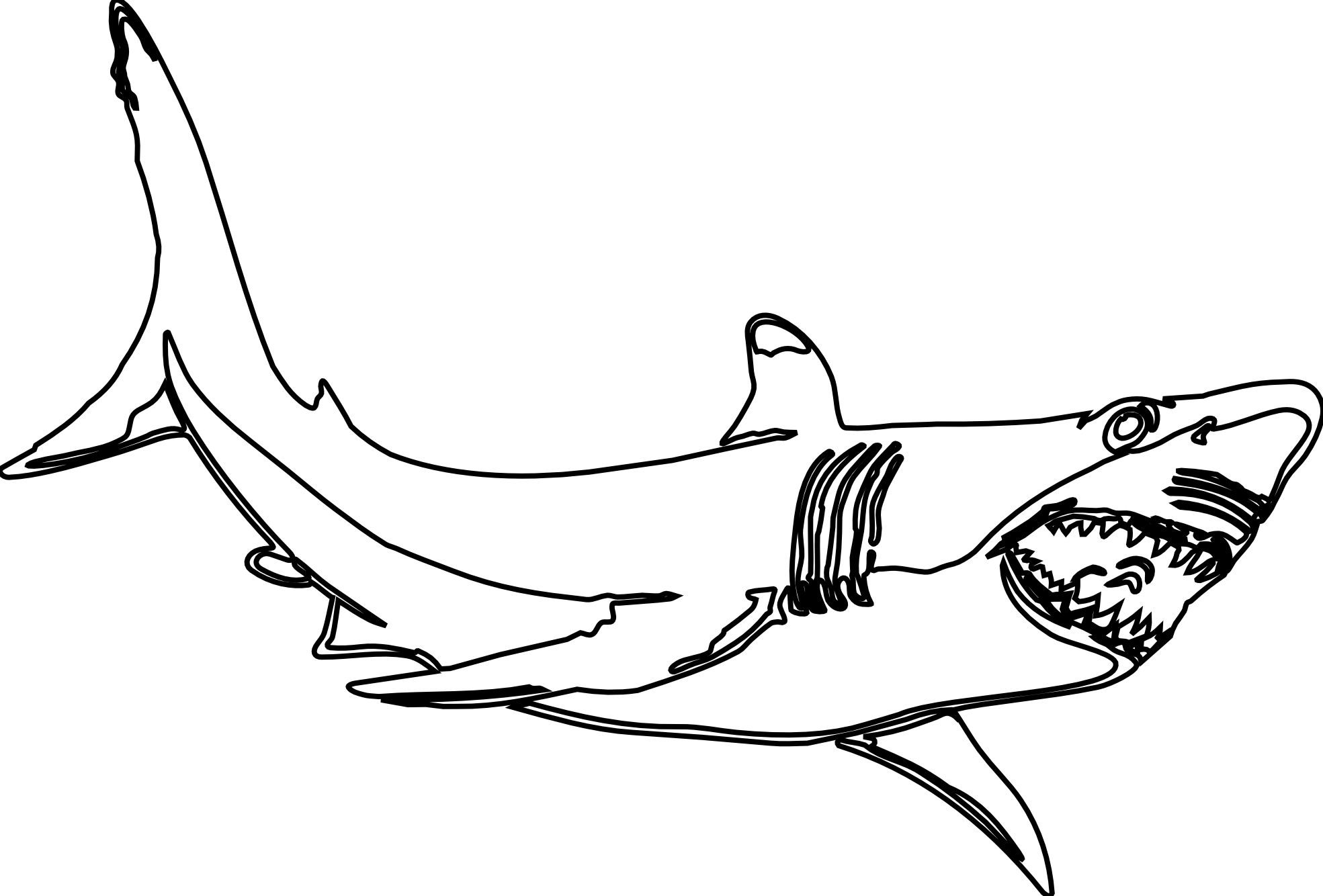 Shark Clip Art Black White Pictures