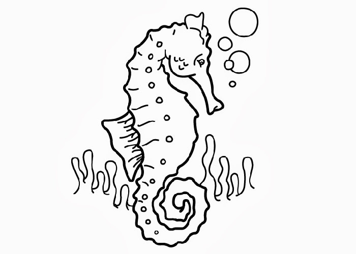 Coloring Pages Books Seahorse | Hagio Graphic