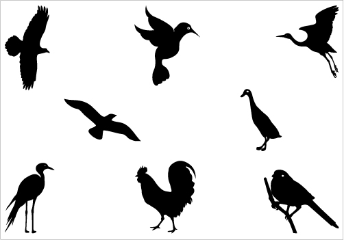Wide Variety of Birds Silhouette in Black and White Background ...