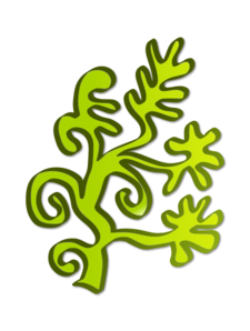 Clipart Seaweed - ClipArt Best