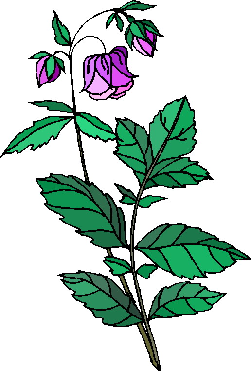 Good Clipart: Plant Clipart Gallery1