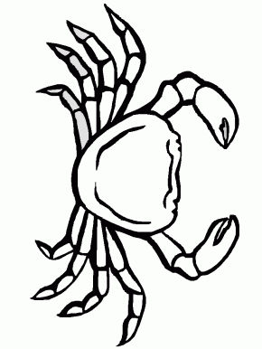 759 views Free coloring pages and coloring book - Page 147 : Fish 9 Animals ...