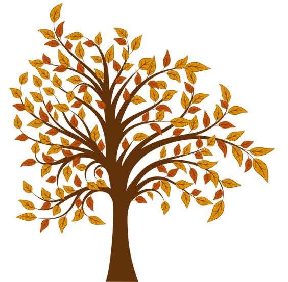 Trees, Clipart images and Fall