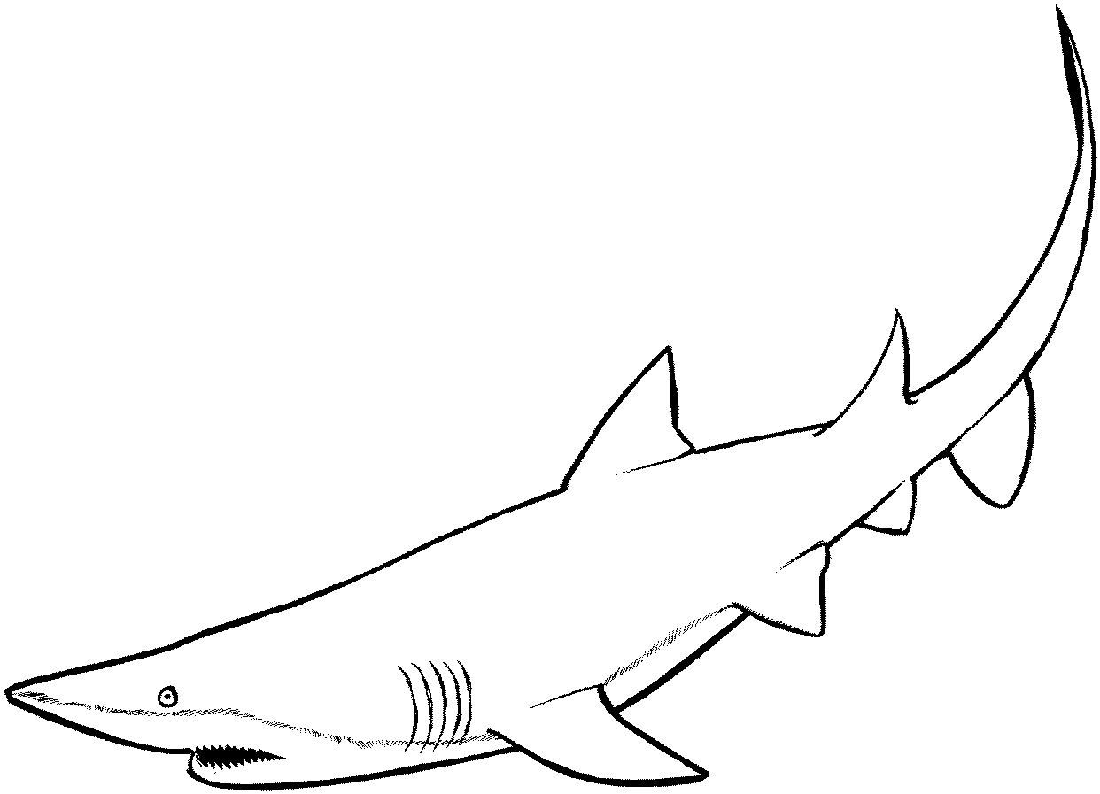 Shark Coloring Pages - Animals ColoringPedia