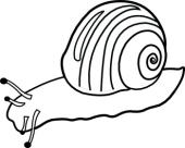 Search Results for gastropod Pictures - Graphics - Illustrations ...