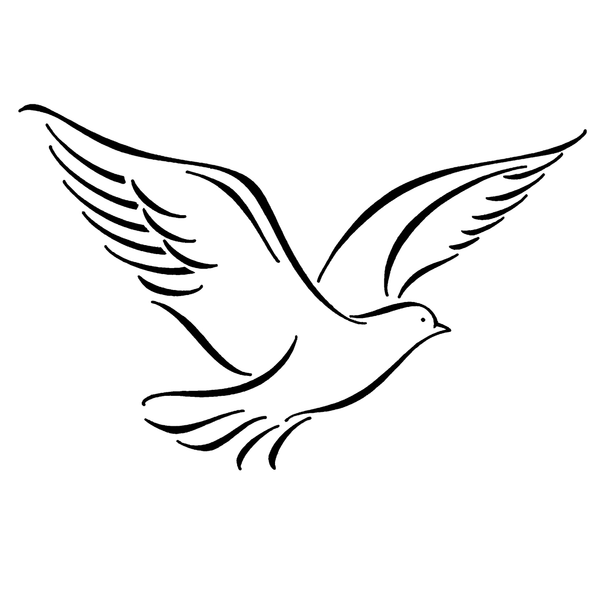 White Dove Drawings