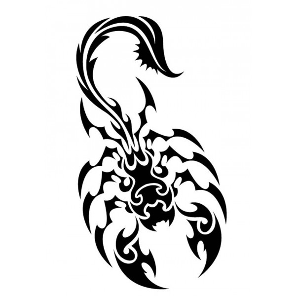 Tribal Scorpion Tattoo Sample | Tattoobite.com