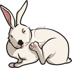 Cartoon Rabbit Free Clipart