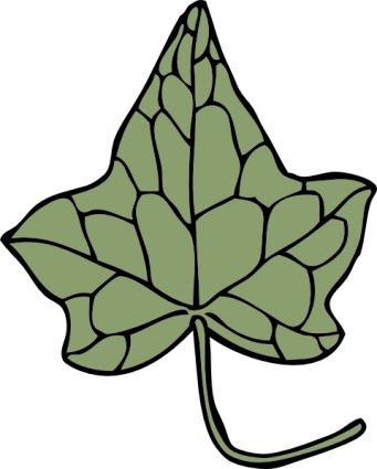 Oak Ivy Leaf clip art Free vector in Open office drawing svg ...