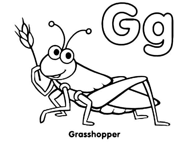 grasshopper clipart | Hostted