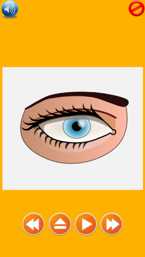 Human Body Parts for Kids - Android Apps on Google Play