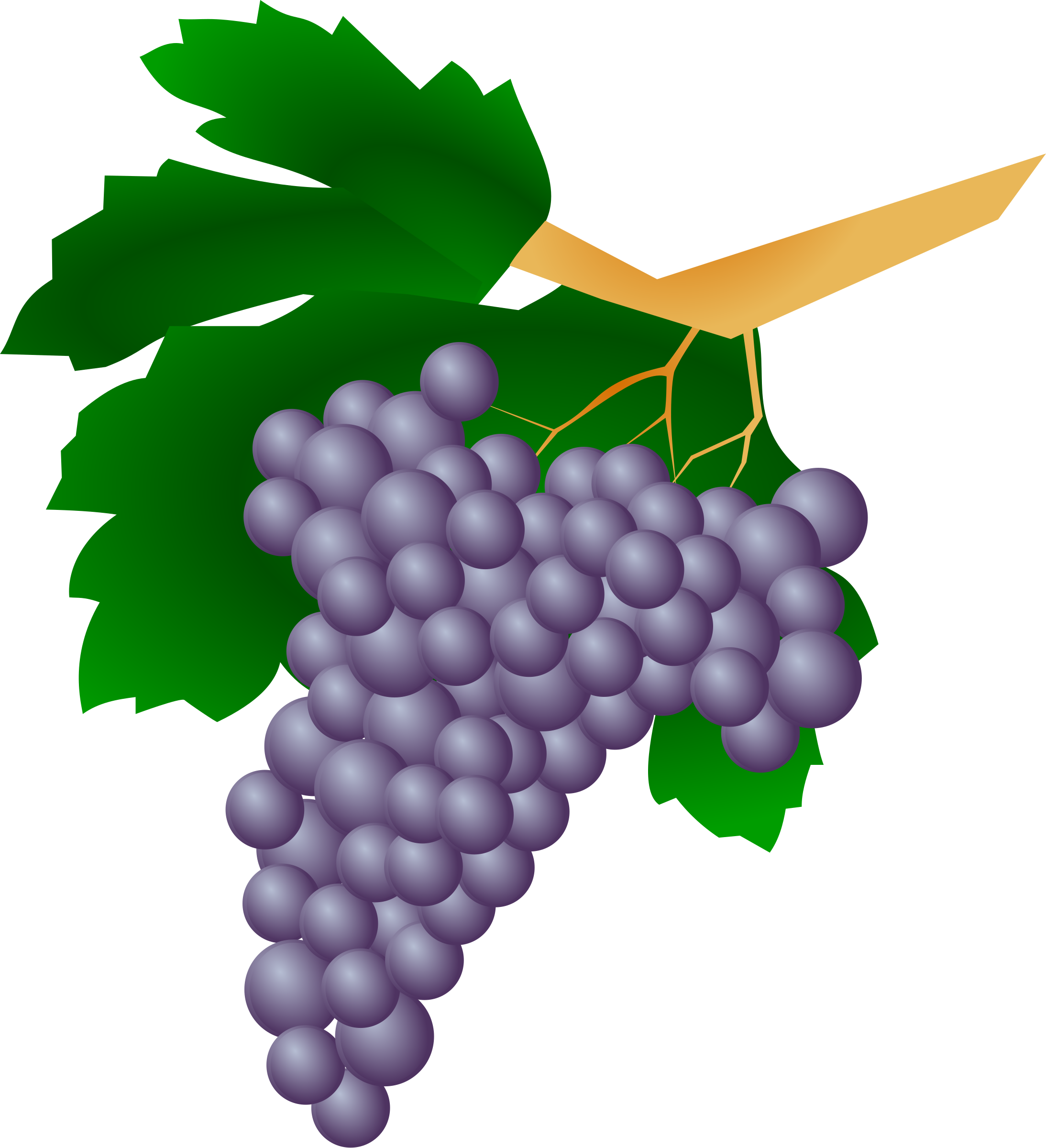 Clipart - Grapes - Raisin
