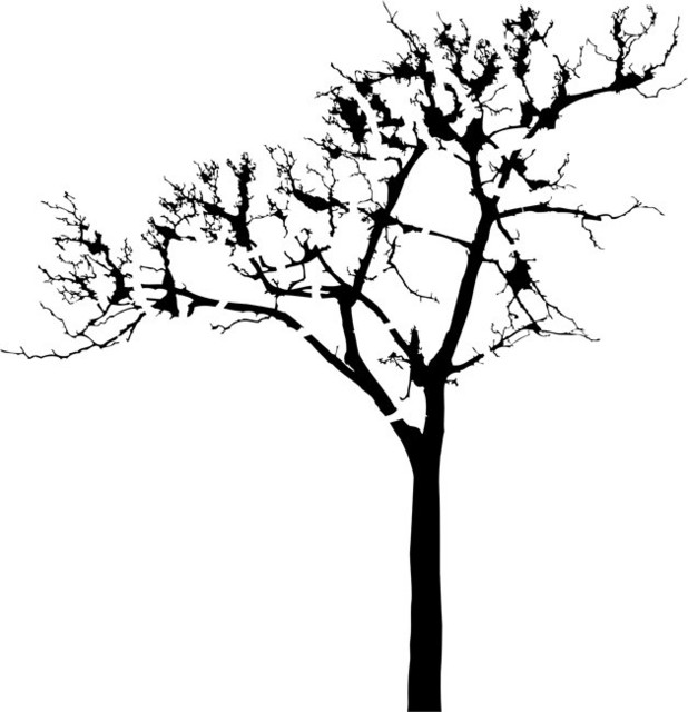 Leafless Tree Stencil - Traditional - Wall Stencils - by Stencil Ease