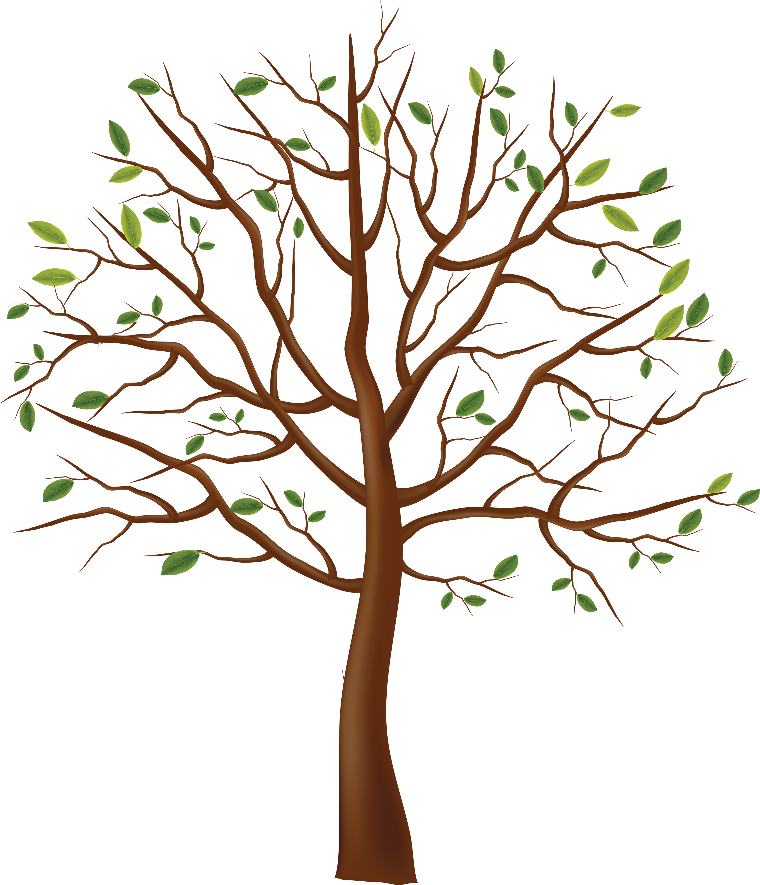 Tree png images, pictures, download free