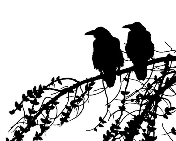 Ravens Birds Silhouette 8x10 Black and White by NatureIsArt